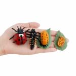 4 PCS Ladybird Animal Life Cycle Insect Growth Model Figure Cake Toppers