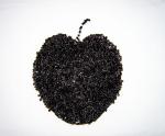 Semi Dull Recycled PET Chip RPET Polyester Resin Pellets Bottle Grade PET Raw