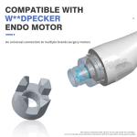 Dental 6 To 1 Endodontic Head 6:1 Reduction Contra Angle Dental Endo Motor Spare
