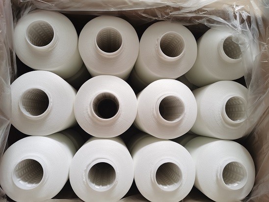 Raw White Polyester Embroidery Thread 108D/2 ZS Twist High Strength