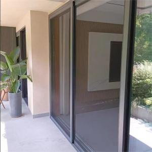Quality Modern Design Anti Insect Aluminum Alloy Screen Door Retractable Screen Door Customized wholesale