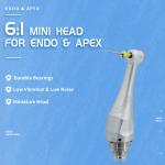 Dental 6 To 1 Endodontic Head 6:1 Reduction Contra Angle Dental Endo Motor Spare