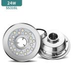 316L Stainless steelIP68 Structure waterproof DC24V 2000LM Led Fountain Lights