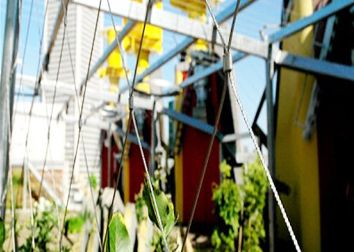 SS304 316 Wire Rope Plant trellis Climbing Stainless Steel Mesh