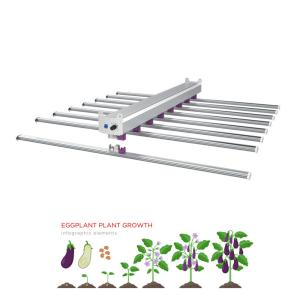 Quality 720W Dimmable Remote Control Led Grow Light Strips 8 Bars For Horticulture wholesale