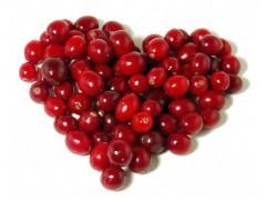 Quality High quality Cranberry Powder for drinks Cranberry juice powder wholesale
