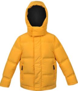 Quality Lightweight Baby Boy Down Coat , Windproof Hooded Childrens Down Jackets wholesale