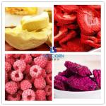 Low Noise 2Kg 4Kg Small Mini Freeze Dryer Household Use