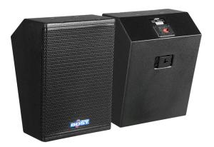 Quality 10 inch professional PA speaker MQ310 wholesale