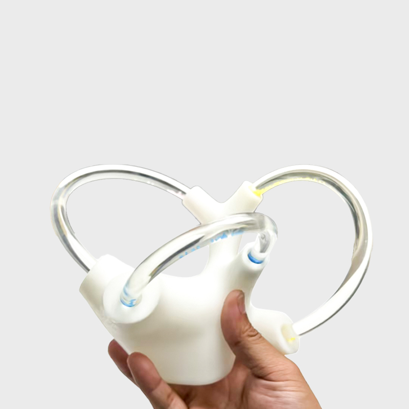 Balance Cochlea Inner Ear Cranial Nerve Rehabilitation Anatomical Function Didactic Demonstration Semicircular Canal