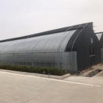 Single-Span Agricultural Greenhouse Mini Mushroom Greenhouse with Optional