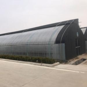 Quality Agricultural Solar Greenhouses with Ventilation System and Customizable Arch Space wholesale