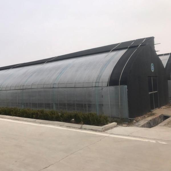 Agricultural Solar Greenhouses with Ventilation System and Customizable Arch