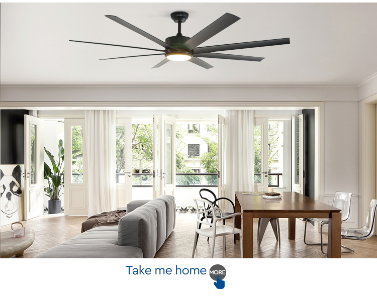ceiling fan with light