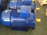 Y2 Y3 YE3 Cast Iron Electric Motor 0.12kw-350kw Three Phase Asynchronous