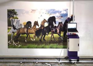Quality DX5 DX7 DX800 Head 0.5CM 20ML/㎡ Wall painting Machine for outdoor and indoor wall usage wholesale