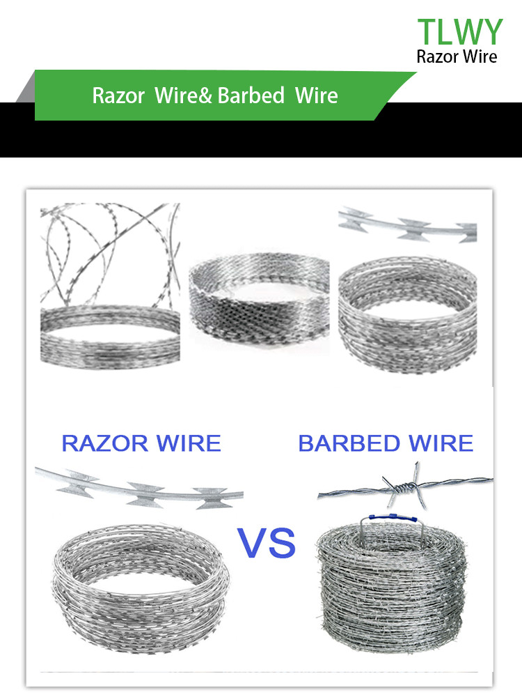 TLSW Anping BTO-10 2.5 Mm Barbed Razor Wire Fencing Rot Proof