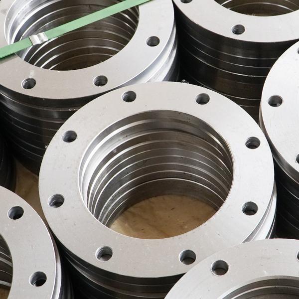 Cheap Din Ss 316l Socket Weld Pipe Flanges 3000# Large Size Dn1600 Sw for sale