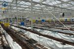 Plastic Multi Span Eco Friendly Greenhouse With Temperature Controlled Growing