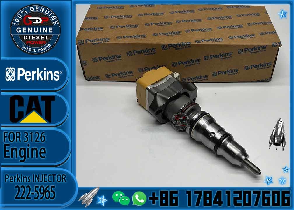 Common Rail Fuel Injector 222-5965 10R-9348 For Caterpillar 3126B/3126E Excavator Engine