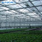 Multi Span Venlo Glass Greenhouse 140mm/H Capacity ISO9001 Certificated