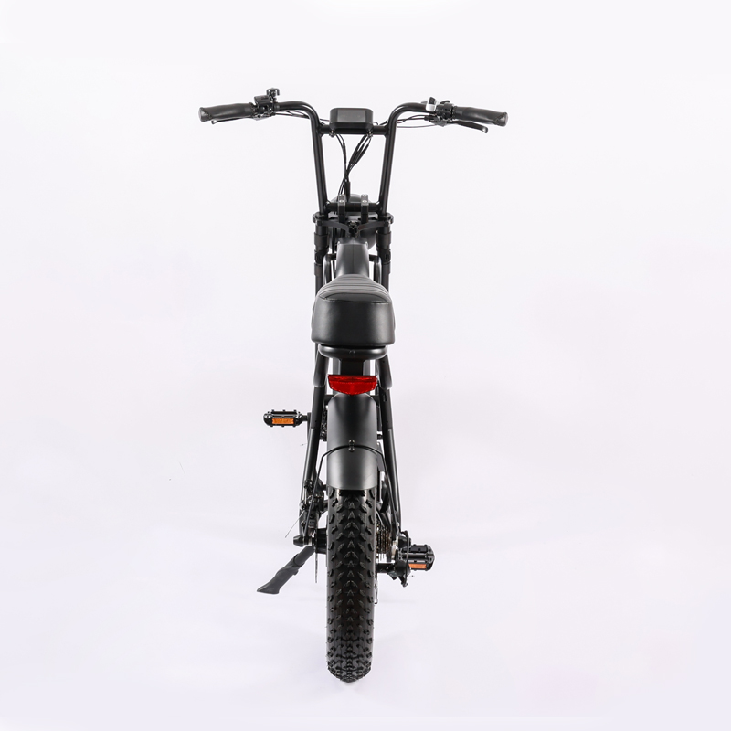 48V1000W Motor Full Suspension Shock Electric Retro Bike with Customised Beach Bikes Cruisers