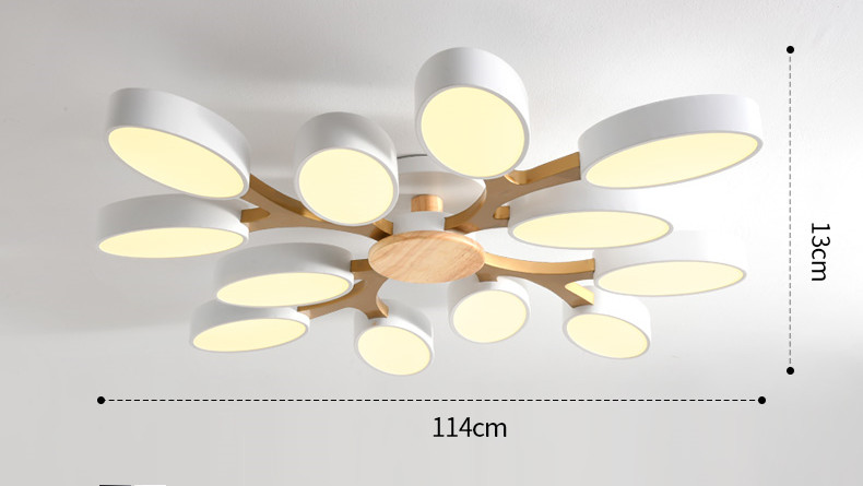 Modern Ceiling Lights Black White Corridor Bedroom Kitchen Office Lamp(WH-WA-29)