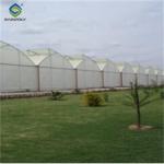 Gothic Frame Greenhouse Large Size Agricultural Multi Span Plastic Film