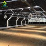 PC Film 30ft X100ft Light Deprivation Greenhouse For Plants In Winter