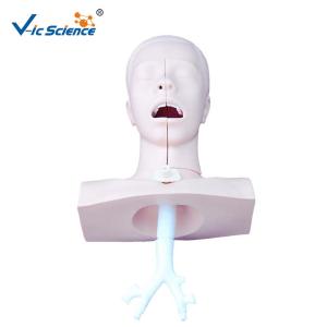 Quality Suction Medical Simulation Mannequins For Nursing Skills Training wholesale