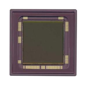 Quality NOIL1SM4000A-GDC wholesale