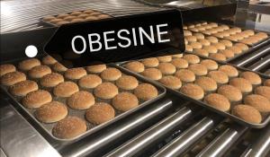 Quality OBESINE full automatic Hamburger Buns Production Line,Automatic Sandwich bread divider rounder ,dough proofer wholesale