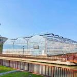 Modular Poly Tunnel Greenhouse Customizable Layouts for Vegetables Flowers