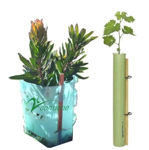 Quality Eco PP Corrugated Plastic Tree Guard Green Corflute Guards Waterproof wholesale