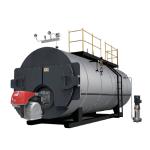 1 Ton 2 Ton 3 Ton 4 Ton Fuel Oil Diesel Natural Gas Boiler Combustion Gas