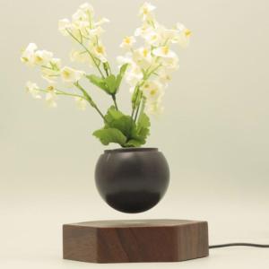 Quality new hotsale magnetic levitation flying air bonsai plant with can customize logo and packing box wholesale