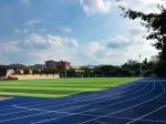 Smooth Black Sandwich Running Track sustainable 10mm Thickness