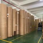 Waterproof Silicone Parchment Paper Jumbo Roll 50m 100m 5000m 7000m Coating