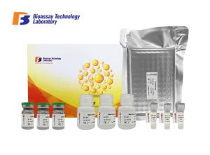 Quality Rat Bridging Integrator 1 ELISA Assay Kit High Sensitivity With Oem Service wholesale