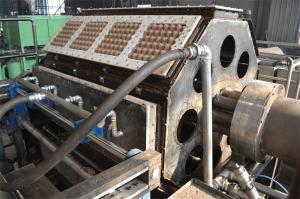 Quality Wine Tray / Shoe Tray / Egg Tray Production Line Rotary Forming Type Compact Design wholesale