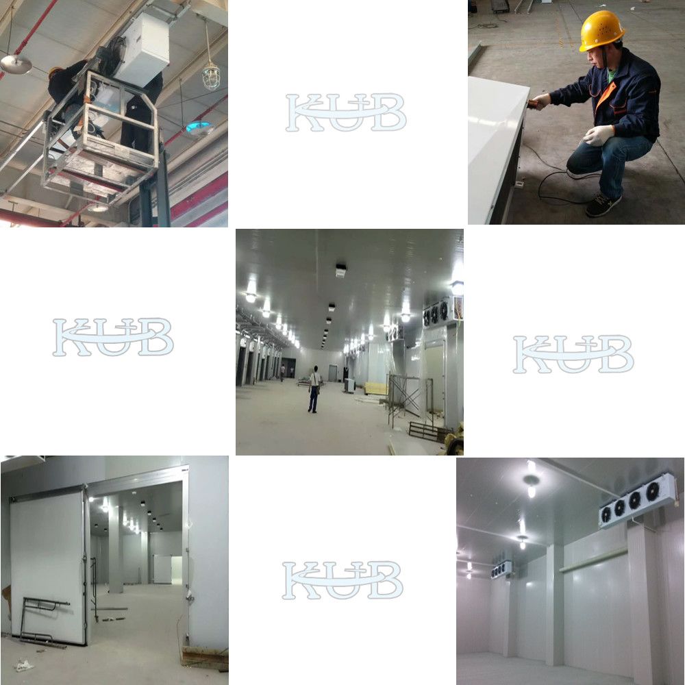 Outdoor Cold Room Open Type Air Cooled Condensing Unit 15hp 4PES-15 air cooled condensing unit cold room compressor