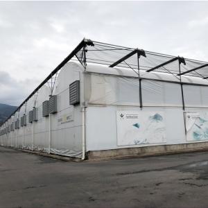 Quality Black White Film Tropical Poly Tunnel Multi-span Seedling Blackout Greenhouse wholesale
