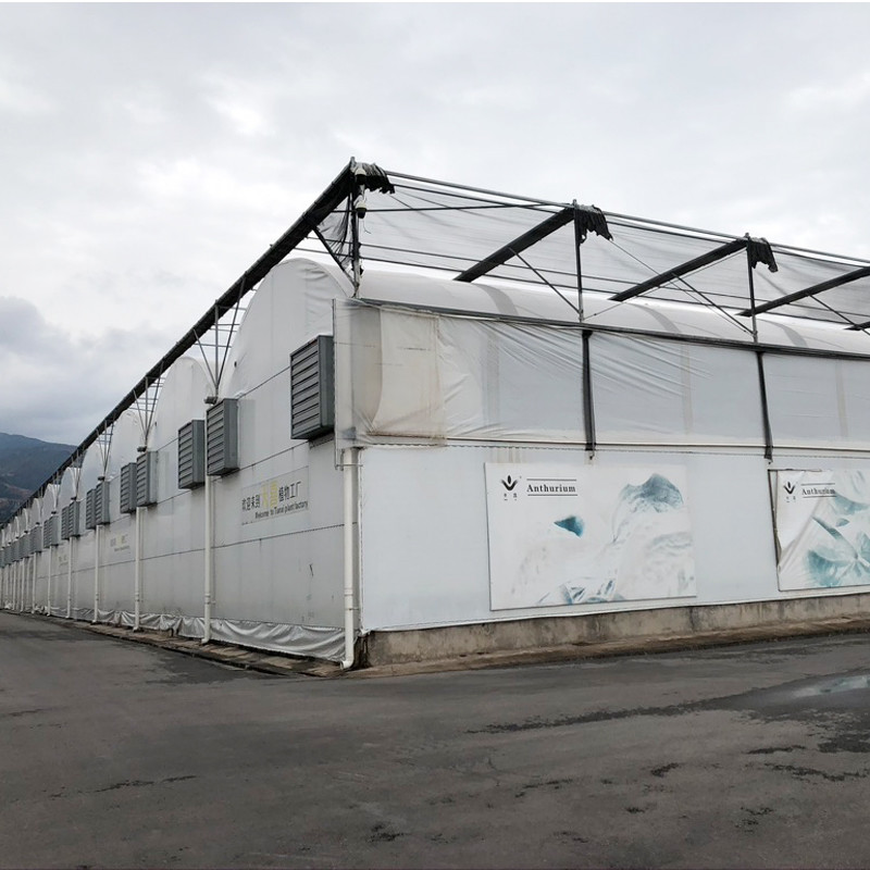 Tropical Climate Custom Size Poly Tunnel Plastic Film Agricultural Sawtooth Greenhouse