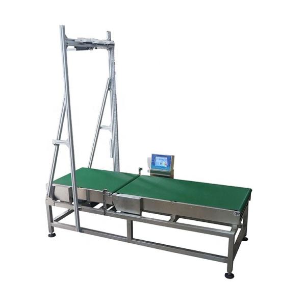 Cheap Mobile Measurement 2 Ton Dimensioning Weighing Scanning Systems for sale