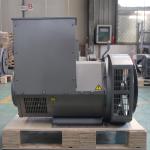 Portable 20kw 50hz Residential Diesel AC Generator 110 - 240V SX460 AVR