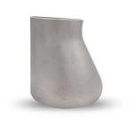 WZ SS304 SS316L Pipe Fittings SCH10 SCH40 Eccentric Reducer for Reducing