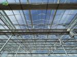 Customized Request for Commercial Greenhouse Tomato Cucumber Lettuce Glasshouse