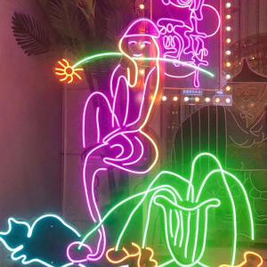 Quality AC110V 220V outdoor flex led neon rope waterproof RGB for custom shop banner wholesale