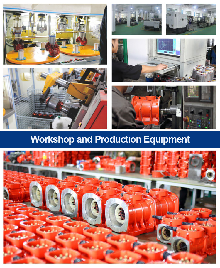 MVE Series Electric Vibration Motors MVE100/3-60hz/3phase/220/380V For Industrial