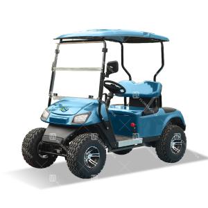 Quality Blue color 2 Seats Mini Electric Power 4 Wheel 4 Kw Motors Golf Cart wholesale